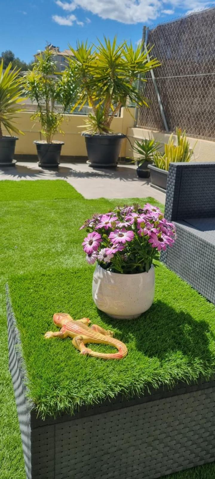 La Zenia Sabrina Apartment 5 Οριουέλα Εξωτερικό φωτογραφία